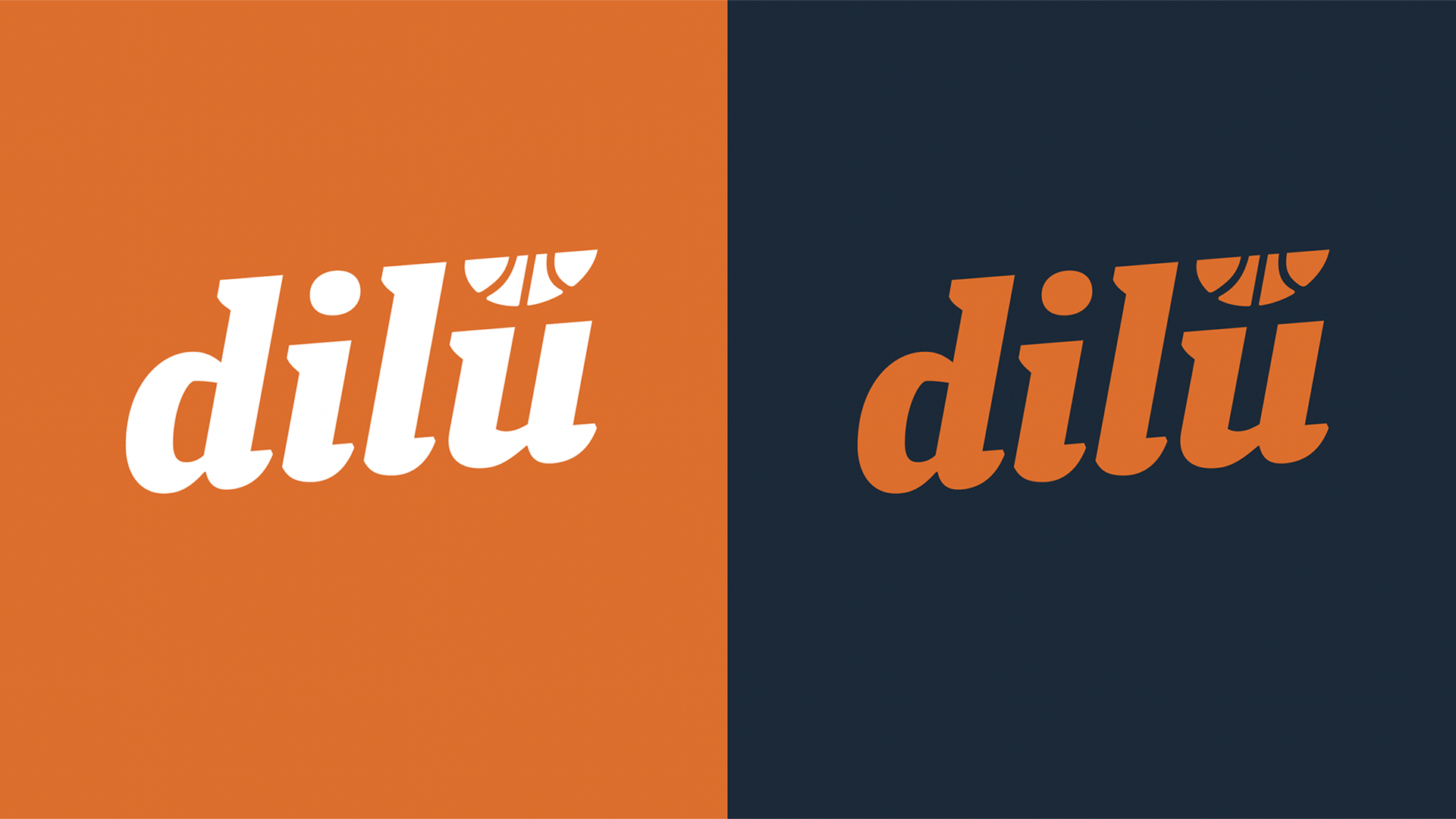Ontwerp+logo+visuele+identiteit+huisstijl+Vormverhaal+Dilu+sports+Nederland (10)
